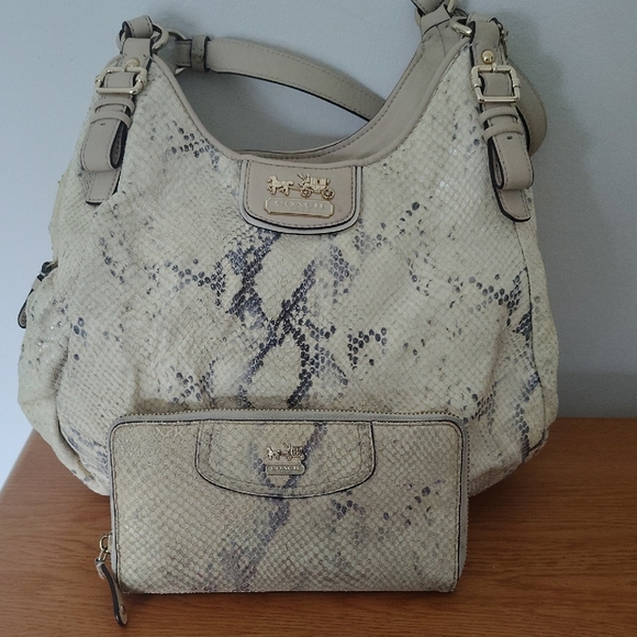 Coach Cream and Gray Snakeskin Hobo Bag with Wallet - Picture 1 of 8